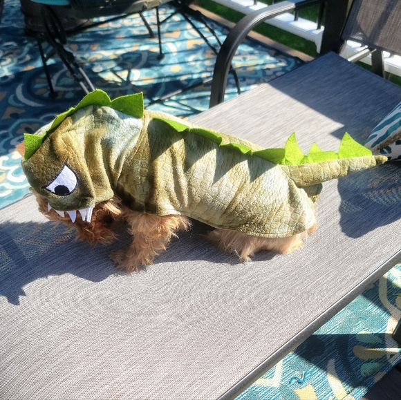 Dinosaur costume for dog - Picture 2 of 6